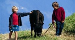 kinderferien-in-sudtirol